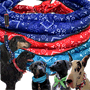 Dog Cooling Collar Cooling Bandanas