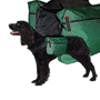 Field Dog Backpack - Green