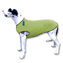 Cozy Fleece Dog Vest - Sage Green