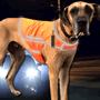 All-timate Reflective Dog Vest - Orange