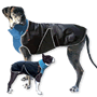 Winter Wrap Dog Jacket - Black & Blue