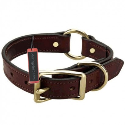 Chestnut Hunter Leather Dog Collar