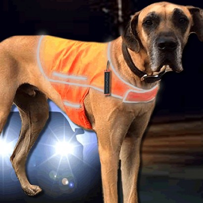 All-timate Reflective Dog Vest